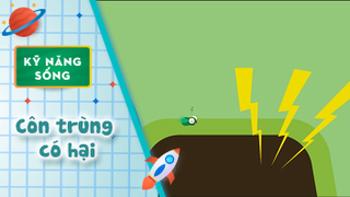 Kỹ năng sống cho bé - Côn trùng có hại - Những con ruồi đáng ghét