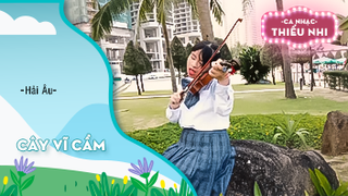 Cây Vĩ Cầm - Hải Âu (MV Official)