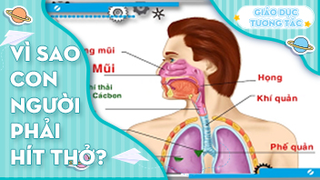 Vì sao con người phải hít thở?