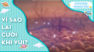 Vì sao lại cười khi vui?