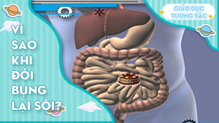 Vì sao khi đói bụng lại sôi?