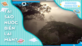 Tại sao nước biển lại mặn?