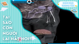 Tại sao con người lại hắt hơi?