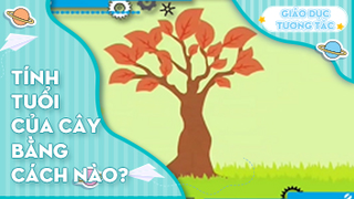 Tính tuổi của cây bằng cách nào?