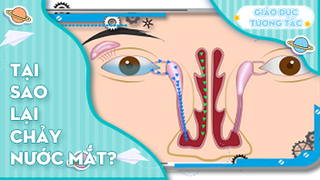 Tại sao lại chảy nước mắt?