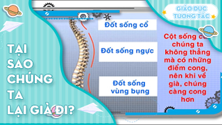 Tại sao chúng ta lại già đi?