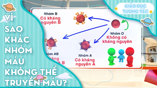 Vì sao khác nhóm máu không thể tiếp máu được cho nhau?