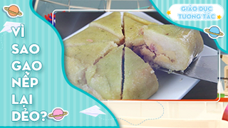 Vì sao gạo nếp lại dẻo?