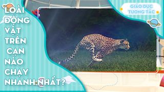 Loài động vật trên cạn nào chạy nhanh nhất?