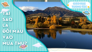 Tại sao lá đổi màu vào mùa thu?