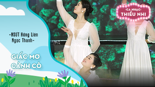 Ca khúc Giấc mơ cánh cò - Biểu diễn NSƯT Hồng Liên và Ngọc Thanh 