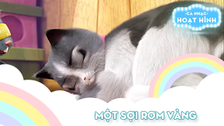 Ca khúc Một sợi rơm vàng