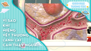 Vì sao khi miệng vết thương lành lại cảm thấy ngứa?