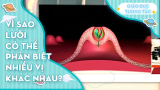 Vì sao lưỡi có thể phân biệt nhiều vị khác nhau?