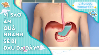 Vì sao ăn quá nhanh sẽ bị đau dạ dày?