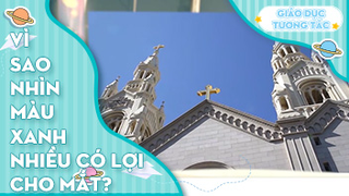 Vì sao nhìn màu xanh nhiều có lợi cho mắt?