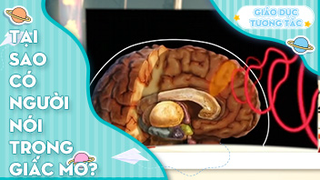 Tại sao có người nói trong lúc mơ?