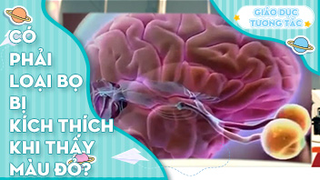 Có phải loại bọ bị kích thích khi nhìn thấy màu đỏ?