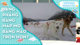 Băng phẳng băng mấp mô, băng nào trơn hơn?