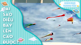Tại sao diều bay lên cao được?