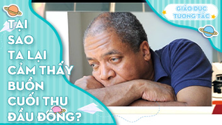 Tại sao ta lại cảm thấy buồn cuối thu đầu đông?