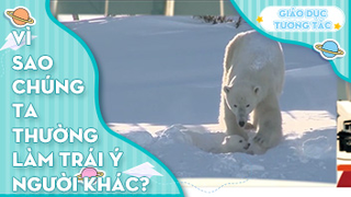 Vì sao chúng ta thường làm trái ý người khác?