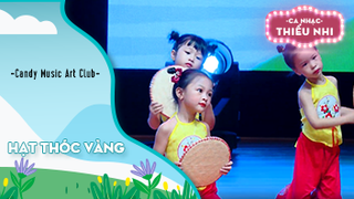 Ca khúc Hạt thóc vàng - Biểu diễn Candy Music Art Club