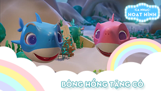 Ca khúc Bông hồng tặng cô