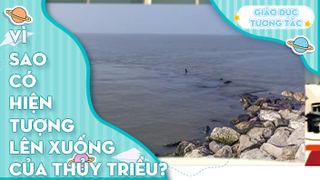 Vì sao có hiện tượng lên xuống của thủy triều?