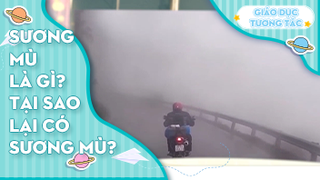 Sương mù là gì? Tại sao lại có sương mù?