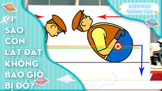 Vì sao con lật đật không bao giờ bị đổ?