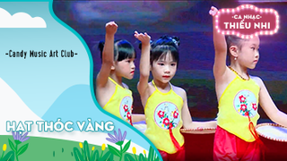 Ca khúc Hạt thóc vàng - Biểu diễn Candy Music Art Club