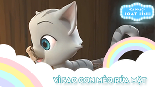 Ca khúc Vì sao con mèo rửa mặt