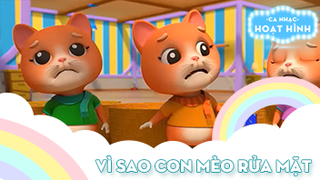 Ca khúc Vì sao con mèo rửa mặt