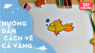 hướng dẫn bé vẽ và tô màu cá vàng - Tập 4