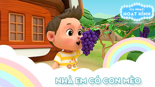 Ca khúc Nhà em có con mèo