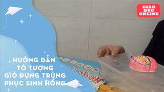 Hướng dẫn tô tượng giỏ đựng trứng phục sinh hồng