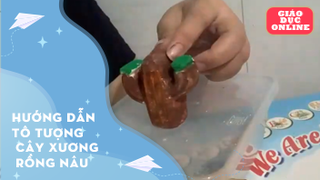 Hướng dẫn tô tượng cây xương rồng nâu