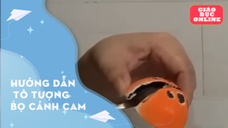 Hướng dẫn tô tượng bọ cánh cam