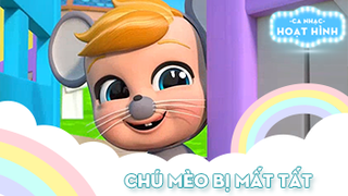 Chú mèo bị mất tất