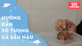 Hướng dẫn tô tượng cá sấu màu nâu