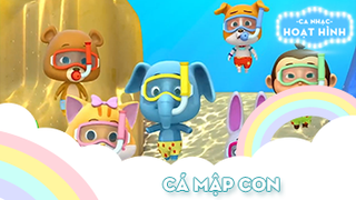 Ca khúc Cá mập con (7)