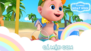 Ca khúc Cá mập con (9)