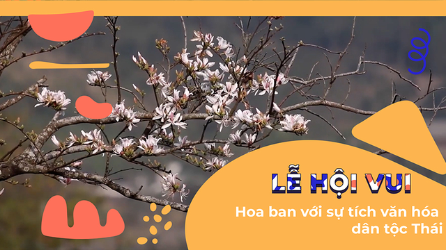 Hoa ban với sự tích văn hóa dân tộc Thái