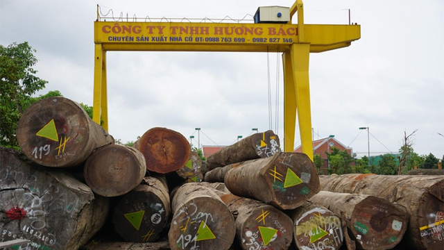 Họa sĩ Nguyến Tấn Phát - Người thổi hồn vào gỗ (Phần 8)