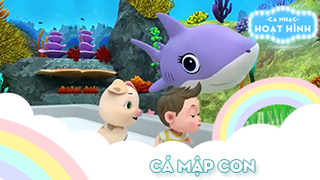Ca khúc Cá mập con (15)