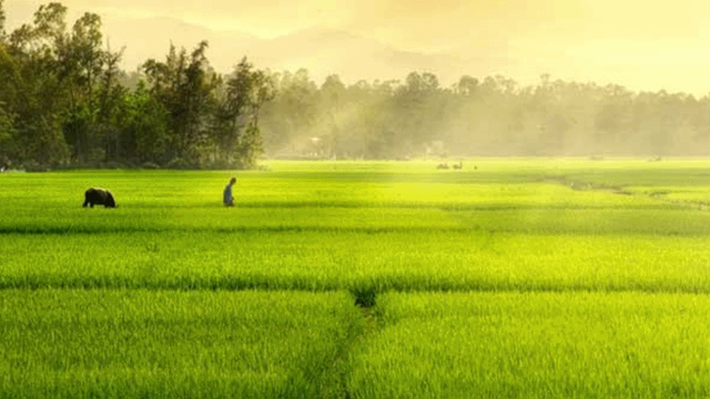 Nét đẹp quê hương (phần 2)