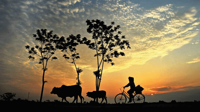 Nét đẹp quê hương (phần 3)