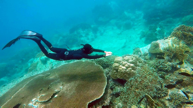 Huấn luyện viên lặn người Anh và tình yêu với biểnHuấn luyện viên lặn người Anh và tình yêu với biển