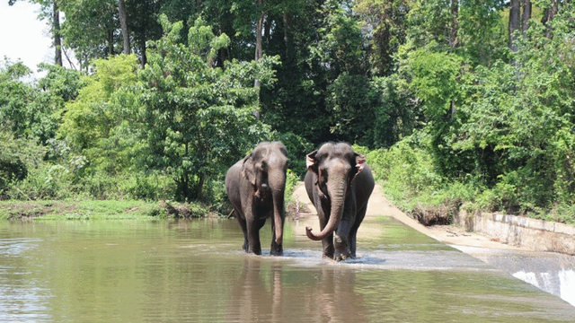 Vẻ đẹp vườn quốc gia Yokdon (phần 2)